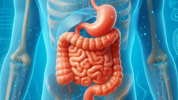 La supervivencia tras un trasplante de órganos podría depender del microbioma intestinal