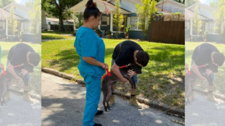 Llevó a su perra a un refugio y rogaba que no la adopten: «Nadie eligió a mi ángel»