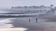 4 playas de San Diego entre las más contaminadas de California
