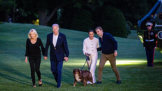 La familia Biden responde tras la renuncia del presidente a la carrera para 2024