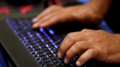 Detienen en España a 3 hackers «prorrusos» por ciberataques