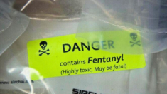 Acusan a un chino en EE.UU. de importar presuntamente 2 toneladas de precursores de fentanilo