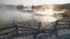 Una zona de Yellowstone permanecerá cerrada durante el verano tras explosión hidrotermal