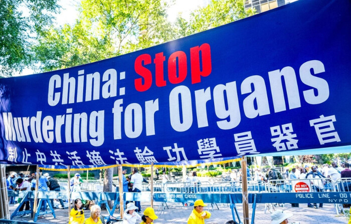 Grupos médicos piden acción internacional contra la sustracción forzada de órganos en China comunista