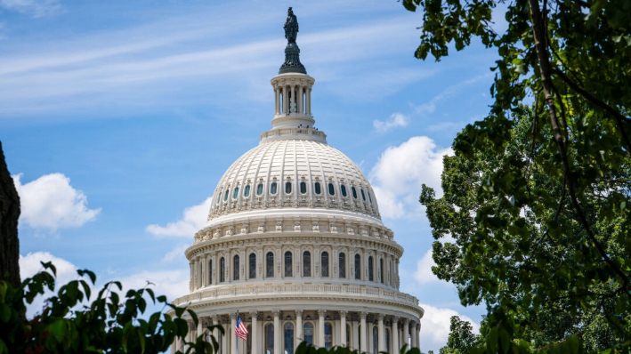 La cúpula del Capitolio de EE.UU. en Washington el 20 de junio de 2024. (Madalina Vasiliu/The Epoch Times)