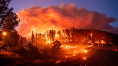 Incendio forestal provocado por auto en llamas triplica su tamaño en un día