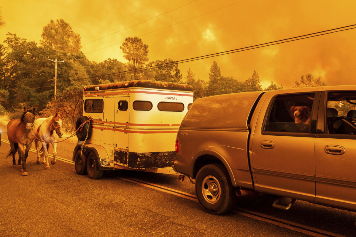 incendio-forestal-provocado-por-auto-en-llamas-se-intensifica2.jpg