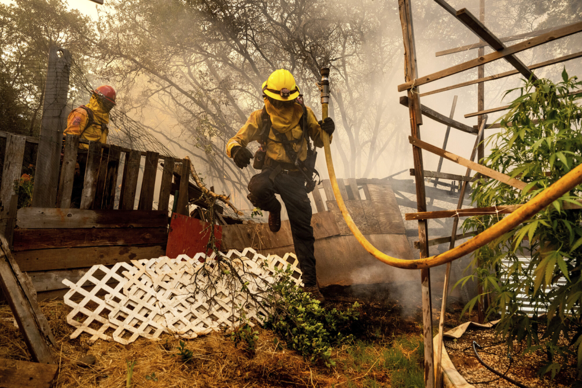 incendio-forestal-provocado-por-auto-en-llamas-se-intensifica3.jpg