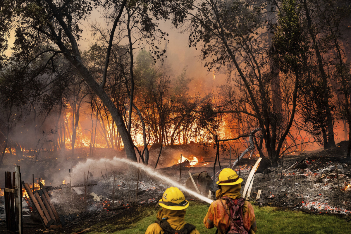 incendio-forestal-provocado-por-auto-en-llamas-se-intensifica4.jpg