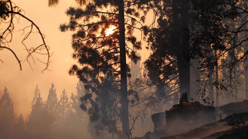 Incendio Park en California. (EFE/EPA/JOHN G. MABANGLO)