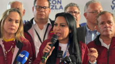 Exdiputada Delsa Solórzano: No han permitido a los testigos del Comando ConVzla ingresar al CNE