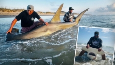 Pescador de Texas «bendecido» por capturar un enorme tiburón martillo para su cumpleaños