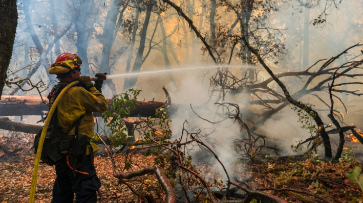 Un bombero rocía agua sobre el incendio Park Fire que arde cerca de Forest Ranch, California, 27 de julio de 2024. (Nic Coury/AP Photo)