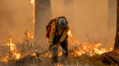 Más de 4800 bomberos tratan de combatir el peor incendio de California de este año