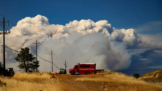 Mayor incendio del año en California es ahora el sexto más grande en historia del estado