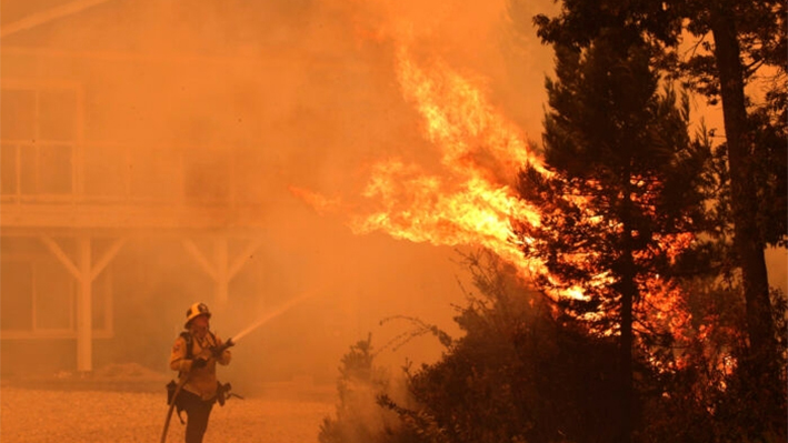 Un bombero rocía un árbol para ayudar a defender una casa del incendio August Complex al noroeste de Santa Cruz, California, el 19 de agosto de 2020. (Shmuel Thaler/The Santa Cruz Sentinel vía AP)