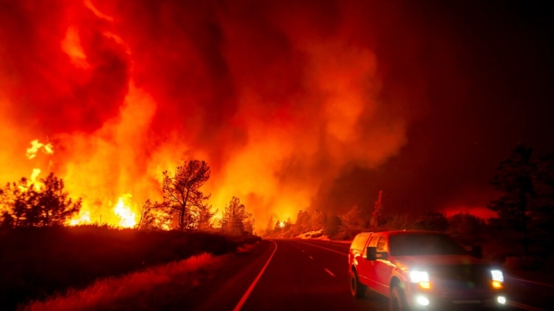 El humo se eleva por encima de la calzada mientras el incendio Park Fire salta la autopista 36 cerca de Paynes Creek en el condado de Tehama, California, el 26 de julio de 2024. (Noah Berger/Foto AP)
