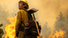 Incendio forestal de California se convierte en el 5to más grande de la historia del estado