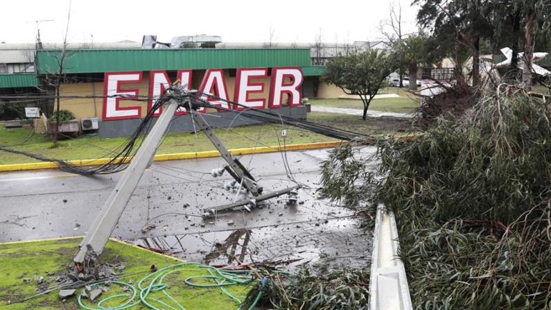 Fotografía de postes de alumbrado público afectados por un árbol caído, producto del fuerte viento y las lluvias durante la madrugada, este viernes 2 de agosto de 2024 en Santiago (Chile). EFE/ Elvis González