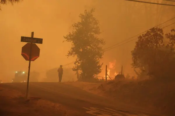 El incendio Park arrasa cerca de Chico, California, el 2 de agosto de 2024. (Cortesía de Cal Fire)