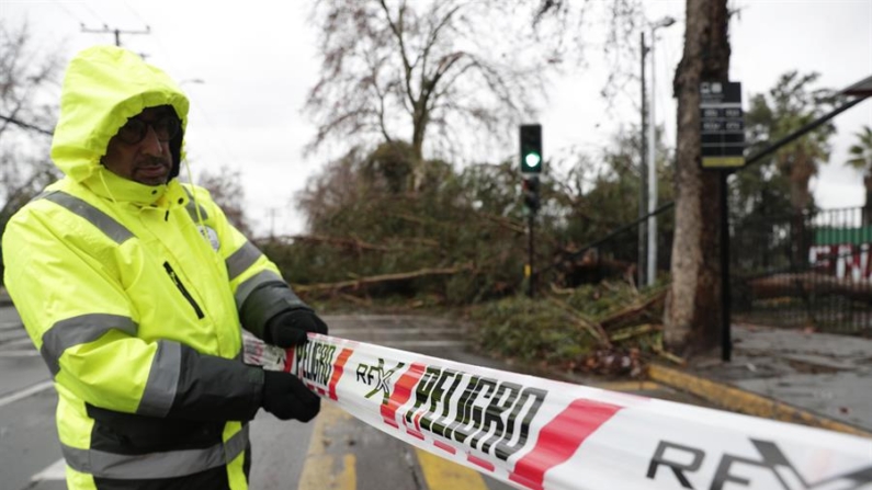 Personal de seguridad resguarda las calles afectadas por un árbol caído, producto del fuerte viento y las lluvias durante la madrugada, el 2 de agosto de 2024 en Santiago (Chile). EFE/ Elvis González