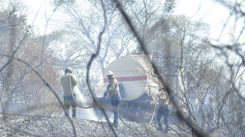 Bomberos trabajan para apagar un incendio, el 24 de julio de 2024, en Roboré, Bolivia. (EFE/ Juan Pablo Roca)