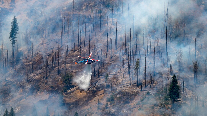 Un helicóptero lanza agua sobre el incendio Park Fire cerca de Butte Meadows, California, el 30 de julio de 2024. (Nic Coury/Foto AP)
