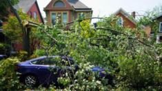 Tornado arrasa brevemente Buffalo, dañando edificios y derramando ramas de árboles