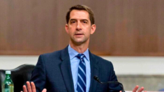 Sen. Cotton pide al fiscal general Garland investigar escuelas presuntamente vinculadas al PCCh