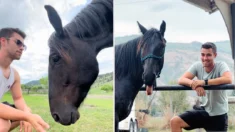 Caballito rescatado que le temía a los humanos se enamora del prometido de su dueña