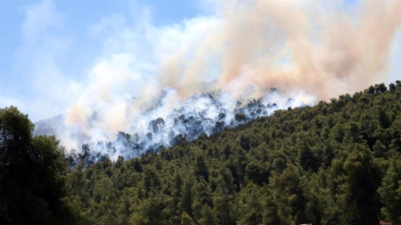 Bomberos luchan por segundo día contra un gran incendio en la isla griega de Creta