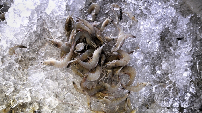 Camarones congelados en una imagen de archivo. EFE/Paul Buck