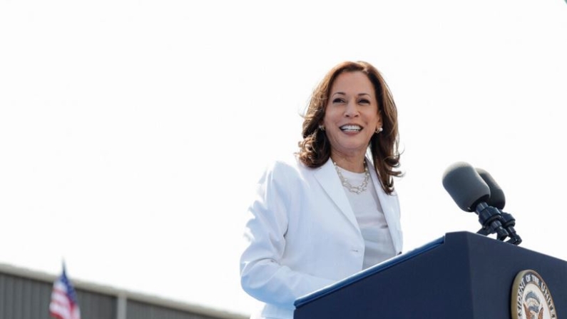 La vicepresidenta y candidata presidencial demócrata para 2024, Kamala Harris, habla durante un mitin de campaña en Eau Claire, Wisconsin, el 7 de agosto de 2024. (Kamil Krzaczynski/AFP vía Getty Images)