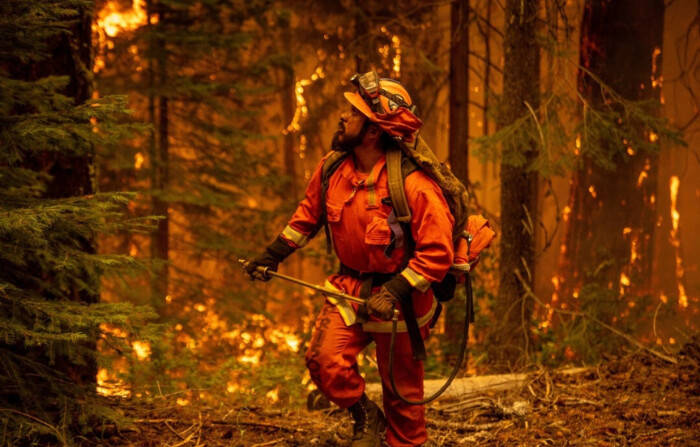 Un bombero recluso lucha contra el incendio Park Fire mientras arde en Mill Creek, California, el 7 de agosto de 2024. (Ethan Swope/Getty Images)
