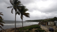 Cancelan inicio de clases y activan Guardia Nacional en Puerto Rico por depresión tropical