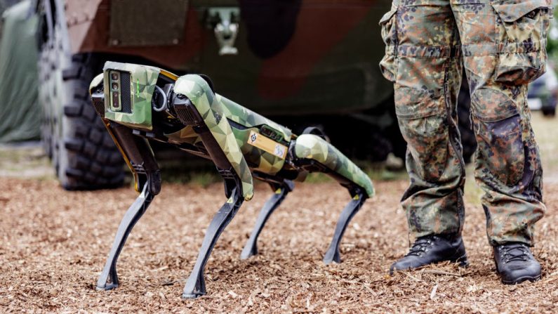 Un perro robot multifuncional de las Fuerzas Armadas alemanas (Bundeswehr) llamado "Wolfgang" durante su presentación por el ministro de Defensa alemán el 11 de julio de 2022 (AXEL HEIMKEN/AFP via Getty Images)