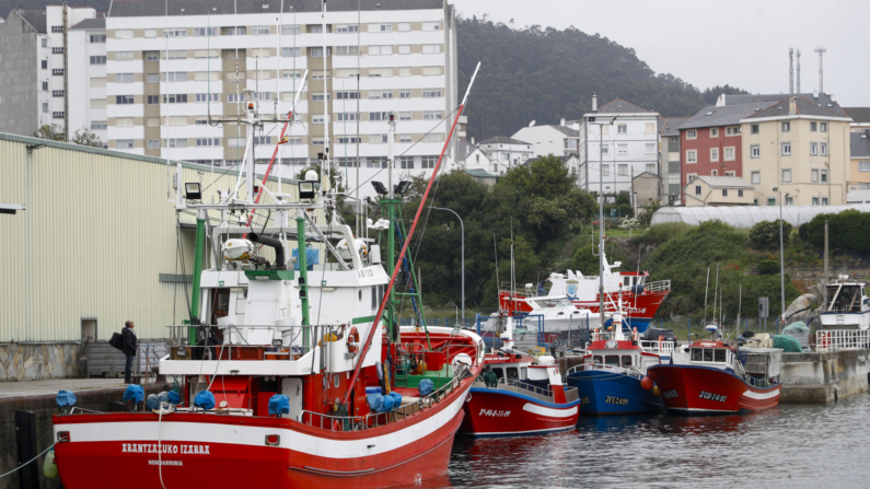 Imagen de este verano de los barcos boniteros de Burela (Lugo).EFE/Eliseo Trigo