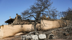 Incendio forestal mata a una mujer en Grecia mientras bomberos intentan proteger suburbios de Atenas