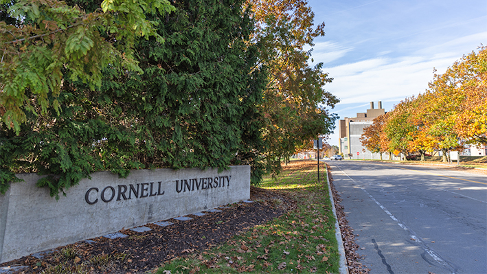 Vista de una de las entradas al campus de de la Universidad de Cornell el 3 de noviembre de 2023 en Ithaca, Nueva York. (Matt Burkhartt/Getty Images)