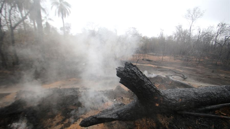 Fotografía de archivo del 8 de agosto de 2024 que muestra una zona afectada por incendios forestales en Bolivia. EFE/Juan Carlos Torrejón
