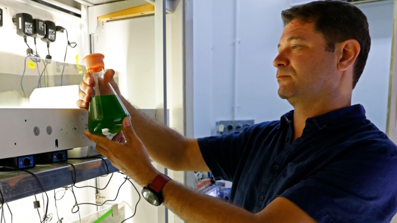 Iftach Yacoby, jefe del laboratorio de energías renovables de la Universidad de Tel Aviv, examina un matraz durante el proyecto de investigación para demostrar las capacidades evolutivas de las plantas con el sol para producir energía, el 11 de junio de 2020, en la ciudad costera israelí.  (Foto de JACK GUEZ/AFP via Getty Images)