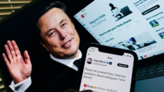 Comisión Europea niega implicación en carta a Elon Musk sobre «contenidos nocivos»