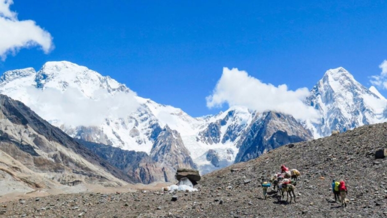 Cargadores y excursionistas extranjeros se mueven con mulas hacia el camping Concordia frente al Broad Peak (Iz) y Gasherbrum IV (De) en el glaciar Baltoro en la cordillera del Karakórum de la región montañosa de Gilgit, al norte de Pakistán, en esta imagen tomada el 14 de agosto de 2019. (Amelie Herenstein/AFP vía Getty Images)