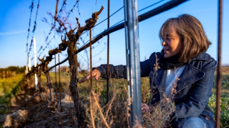 Castilla-La Mancha y Las Rozas (Madrid), los epicentros españoles de producción ecológica