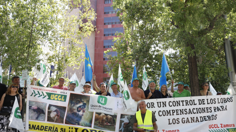 La organización agraria Unión de Uniones ha convocado para este martes un acto de protesta frente a la sede de la Representación de la Comisión Europea en España para pedir a la UE un gestión "racional" del lobo y el apoyo a la ganadería. EFE/ Mariscal