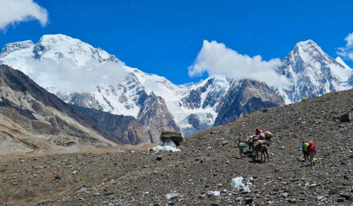 Porteadores y excursionistas extranjeros se desplazan con mulas hacia el campamento Concordia frente al Broad Peak (izq.) y el Gasherbrum IV (der.) en el glaciar Baltoro, en la cordillera Karakoram de la región montañosa de Gilgit, en el norte de Pakistán, en esta fotografía tomada el 14 de agosto de 2019. ( Amelie Herenstein/AFP vía Getty Images)