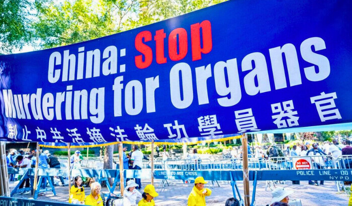 Una pancarta que pide el fin de la sustracción forzada de órganos de los practicantes de Falun Gong en China se muestra mientras los practicantes demuestran la meditación de la práctica espiritual, junto a las Naciones Unidas en la ciudad de Nueva York el 20 de septiembre de 2023. (Chung I Ho/ The Epoch Times)