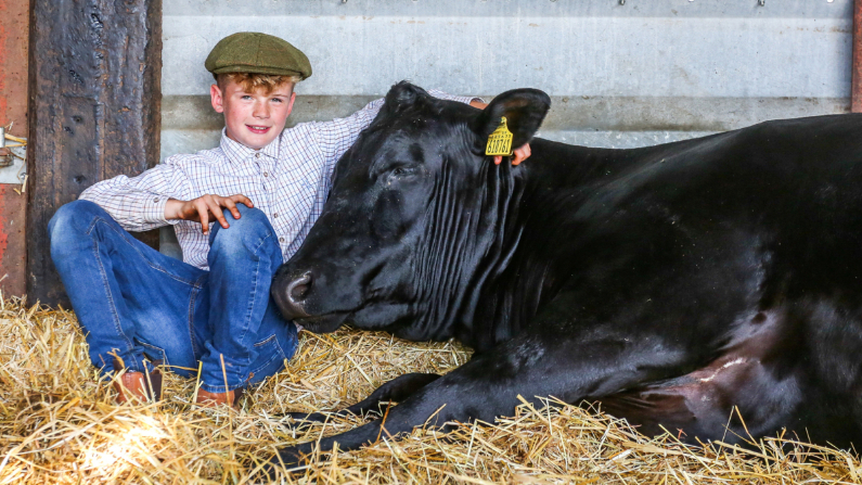 Joe Trofer en su granja de Lincolnshire con su vaca Rosie. (SWNS)