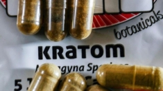 Kratom: Una hierba adictiva y riesgosa para la salud similar al opio preocupa a médicos