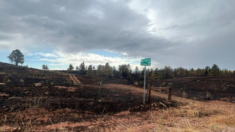 Más de 500,000 acres quemados en Wyoming mientras bomberos luchan por contener incendios forestales